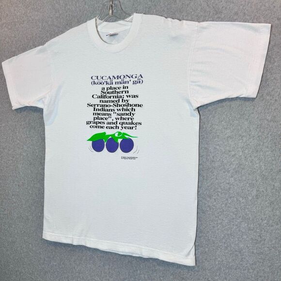 Vintage 1993 fruit of the loom made in the USA white T-shirt size large - Picture 2 of 11